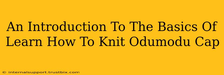 An Introduction To The Basics Of Learn How To Knit Odumodu Cap