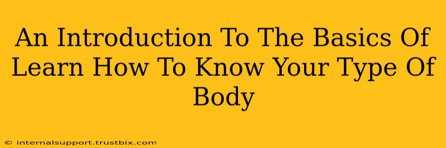 An Introduction To The Basics Of Learn How To Know Your Type Of Body