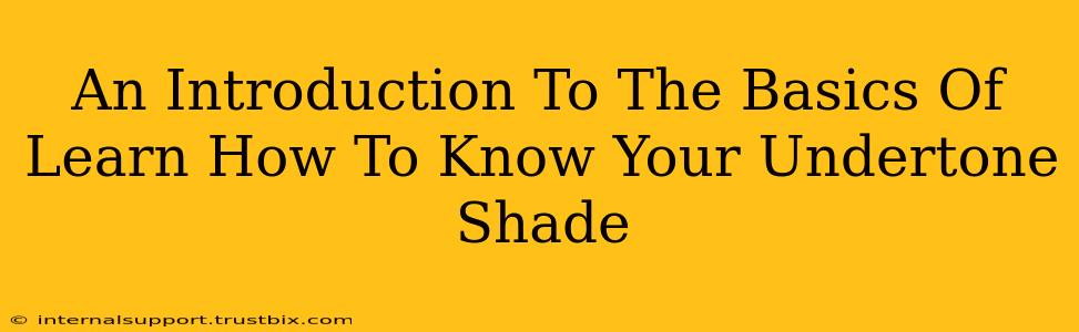 An Introduction To The Basics Of Learn How To Know Your Undertone Shade