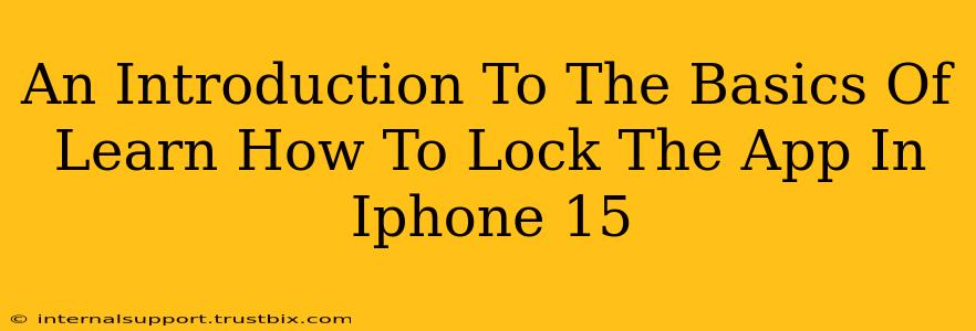 An Introduction To The Basics Of Learn How To Lock The App In Iphone 15