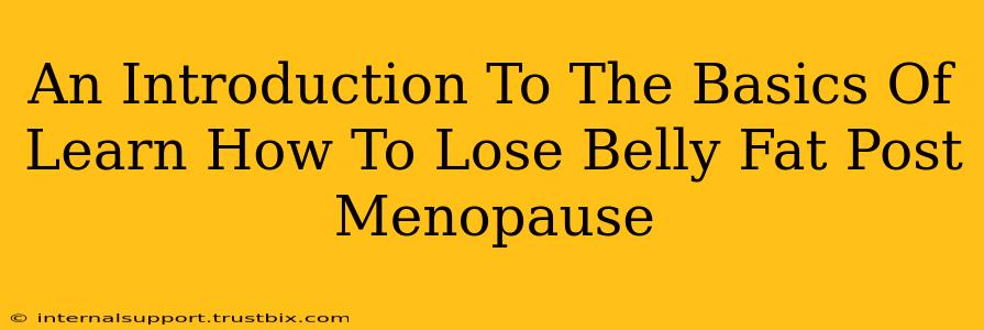 An Introduction To The Basics Of Learn How To Lose Belly Fat Post Menopause