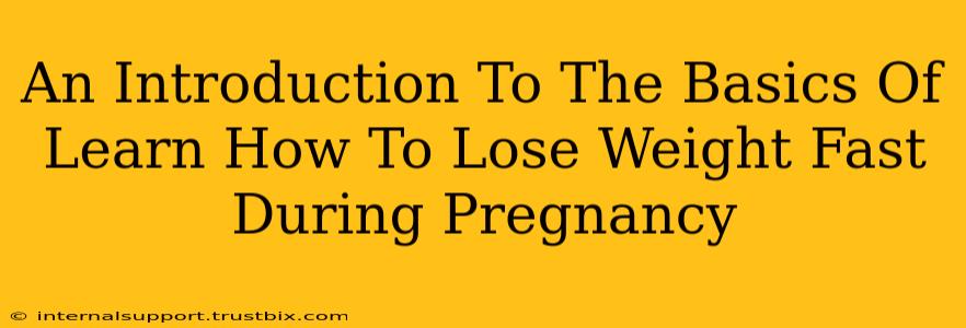 An Introduction To The Basics Of Learn How To Lose Weight Fast During Pregnancy