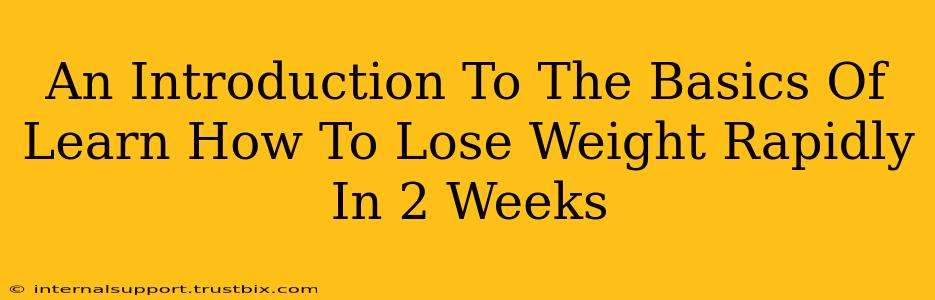 An Introduction To The Basics Of Learn How To Lose Weight Rapidly In 2 Weeks