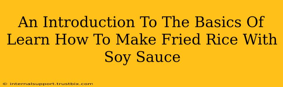 An Introduction To The Basics Of Learn How To Make Fried Rice With Soy Sauce