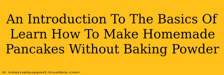 An Introduction To The Basics Of Learn How To Make Homemade Pancakes Without Baking Powder