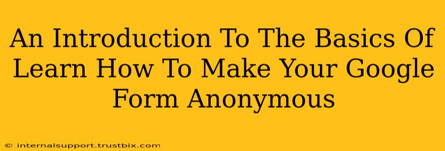 An Introduction To The Basics Of Learn How To Make Your Google Form Anonymous