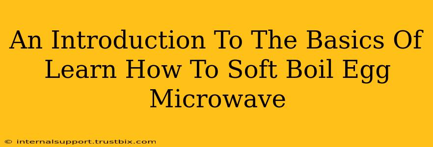 An Introduction To The Basics Of Learn How To Soft Boil Egg Microwave