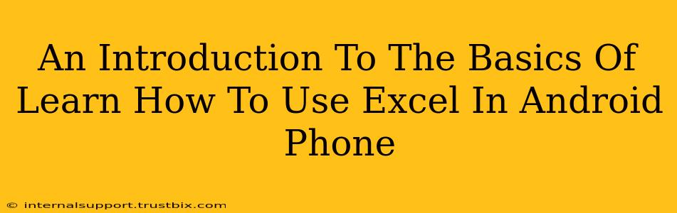 An Introduction To The Basics Of Learn How To Use Excel In Android Phone