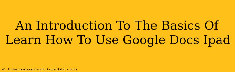 An Introduction To The Basics Of Learn How To Use Google Docs Ipad