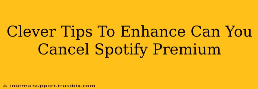 Clever Tips To Enhance Can You Cancel Spotify Premium