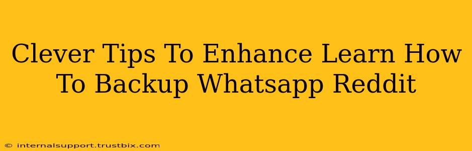 Clever Tips To Enhance Learn How To Backup Whatsapp Reddit