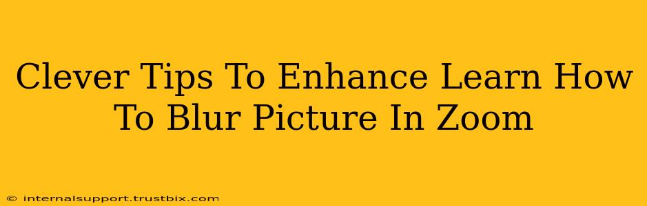 Clever Tips To Enhance Learn How To Blur Picture In Zoom