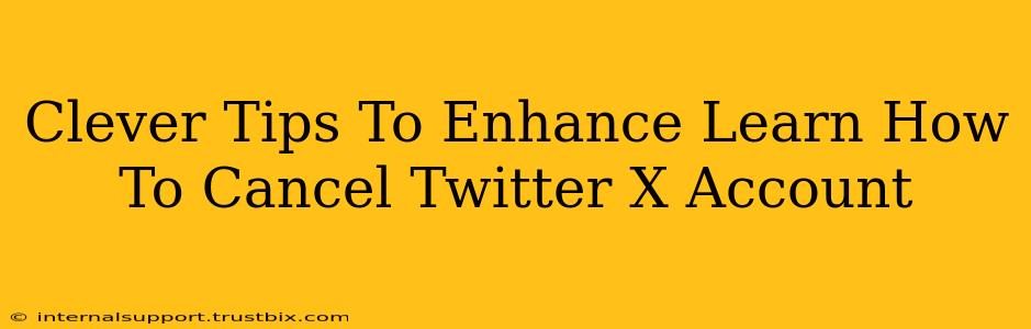 Clever Tips To Enhance Learn How To Cancel Twitter X Account