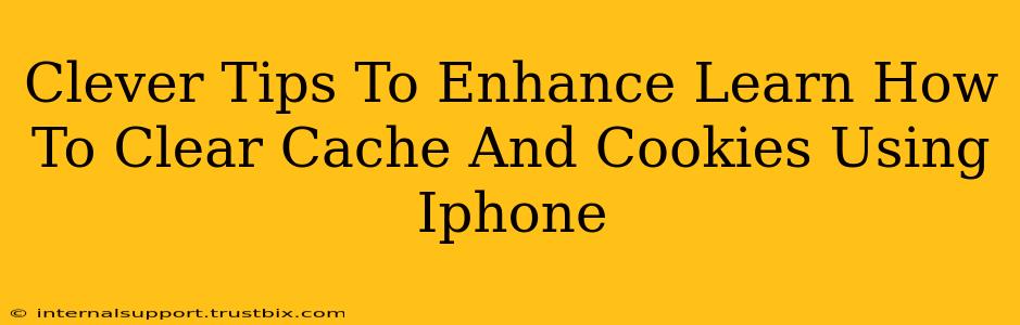 Clever Tips To Enhance Learn How To Clear Cache And Cookies Using Iphone