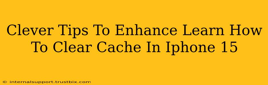 Clever Tips To Enhance Learn How To Clear Cache In Iphone 15