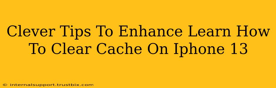 Clever Tips To Enhance Learn How To Clear Cache On Iphone 13