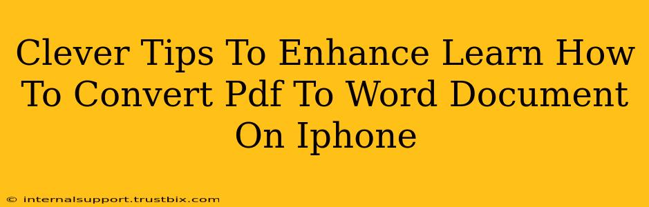 Clever Tips To Enhance Learn How To Convert Pdf To Word Document On Iphone