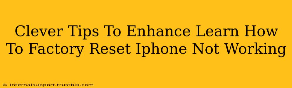 Clever Tips To Enhance Learn How To Factory Reset Iphone Not Working