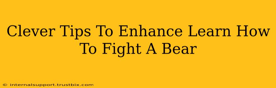 Clever Tips To Enhance Learn How To Fight A Bear