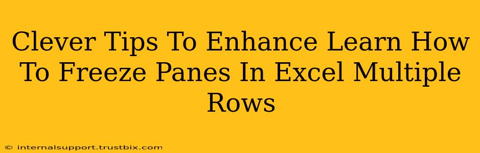 Clever Tips To Enhance Learn How To Freeze Panes In Excel Multiple Rows