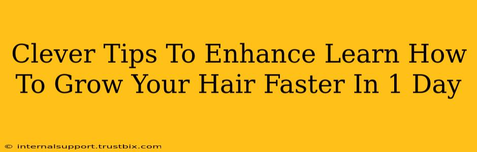 Clever Tips To Enhance Learn How To Grow Your Hair Faster In 1 Day