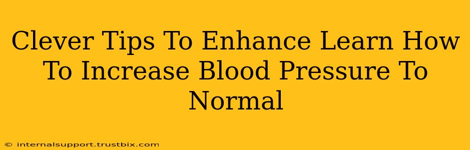 Clever Tips To Enhance Learn How To Increase Blood Pressure To Normal