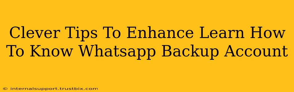 Clever Tips To Enhance Learn How To Know Whatsapp Backup Account