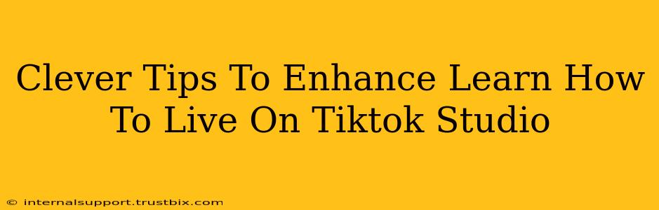 Clever Tips To Enhance Learn How To Live On Tiktok Studio