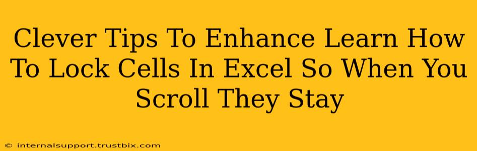 Clever Tips To Enhance Learn How To Lock Cells In Excel So When You Scroll They Stay