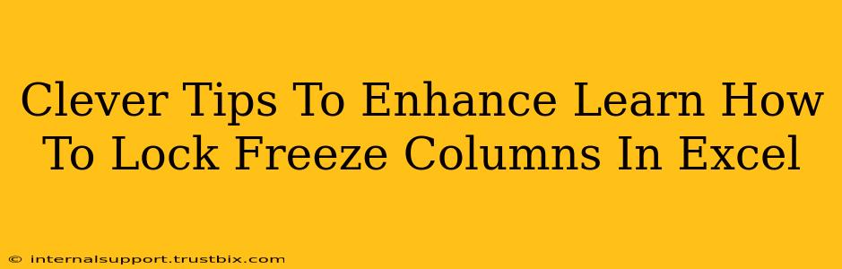 Clever Tips To Enhance Learn How To Lock Freeze Columns In Excel