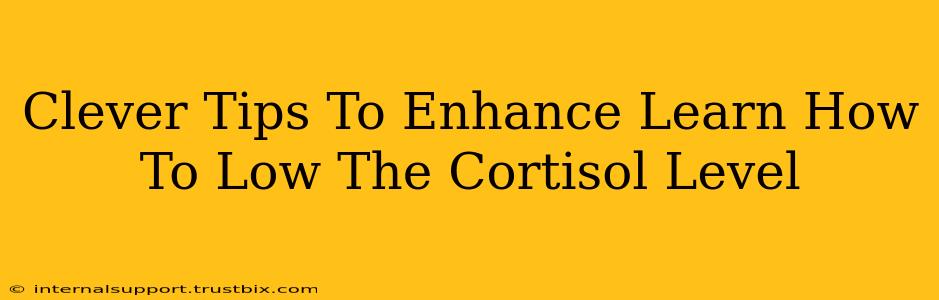 Clever Tips To Enhance Learn How To Low The Cortisol Level