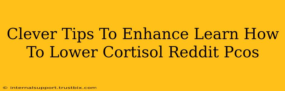 Clever Tips To Enhance Learn How To Lower Cortisol Reddit Pcos