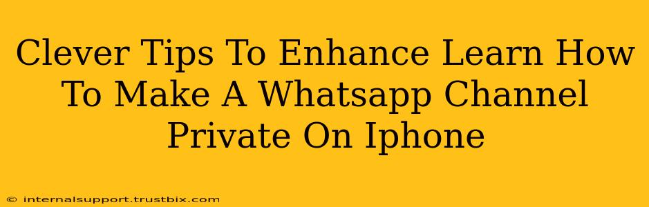 Clever Tips To Enhance Learn How To Make A Whatsapp Channel Private On Iphone