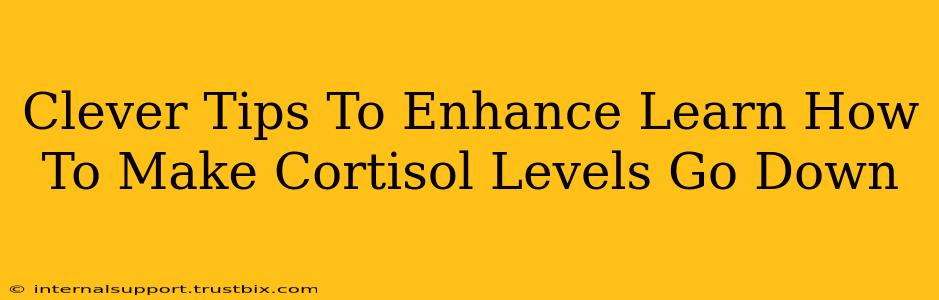 Clever Tips To Enhance Learn How To Make Cortisol Levels Go Down