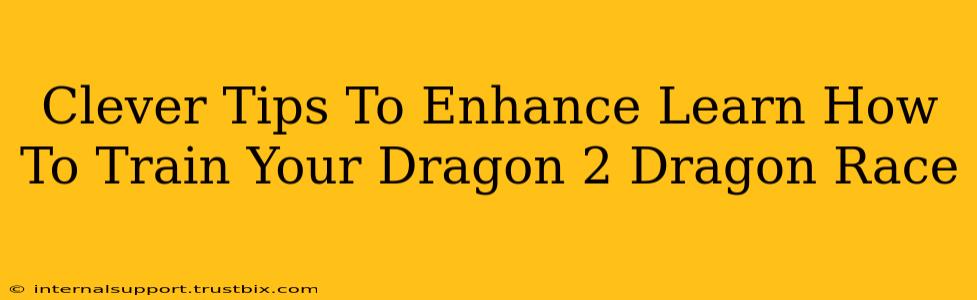 Clever Tips To Enhance Learn How To Train Your Dragon 2 Dragon Race