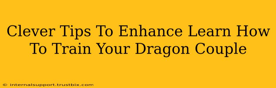 Clever Tips To Enhance Learn How To Train Your Dragon Couple