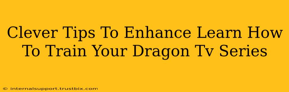 Clever Tips To Enhance Learn How To Train Your Dragon Tv Series