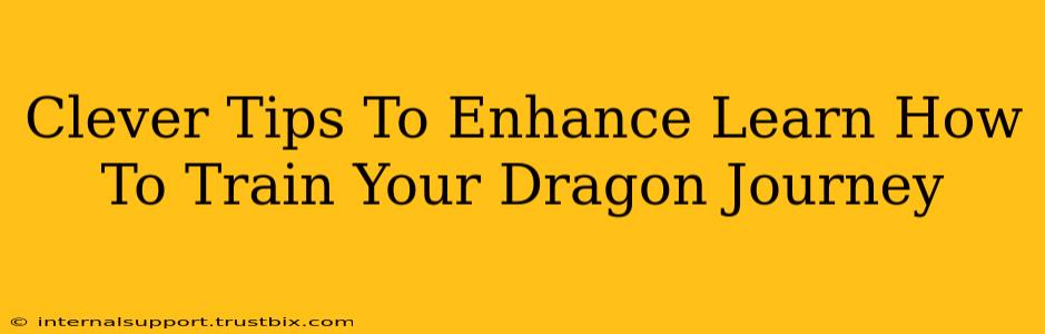 Clever Tips To Enhance Learn How To Train Your Dragon Journey