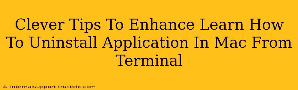 Clever Tips To Enhance Learn How To Uninstall Application In Mac From Terminal