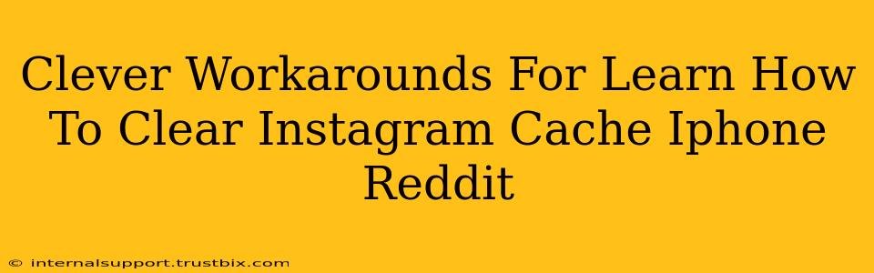 Clever Workarounds For Learn How To Clear Instagram Cache Iphone Reddit