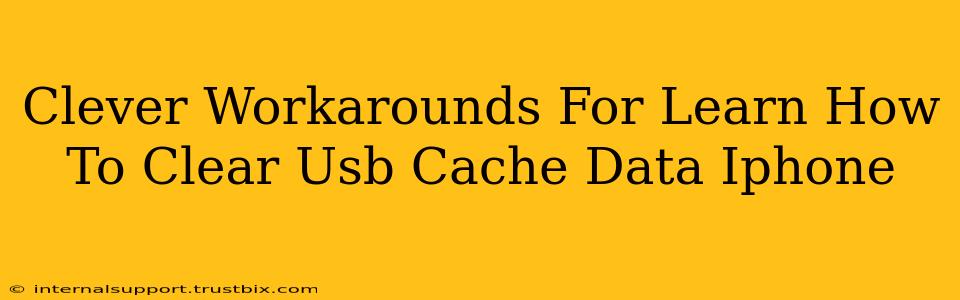 Clever Workarounds For Learn How To Clear Usb Cache Data Iphone