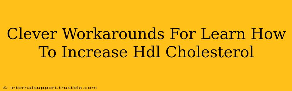 Clever Workarounds For Learn How To Increase Hdl Cholesterol