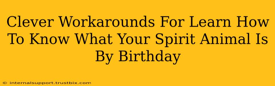 Clever Workarounds For Learn How To Know What Your Spirit Animal Is By Birthday