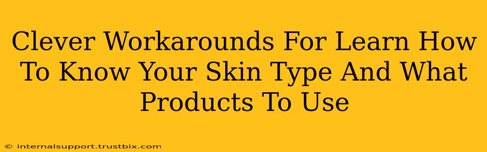 Clever Workarounds For Learn How To Know Your Skin Type And What Products To Use