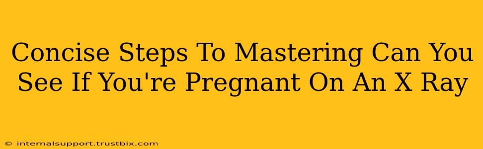 Concise Steps To Mastering Can You See If You're Pregnant On An X Ray