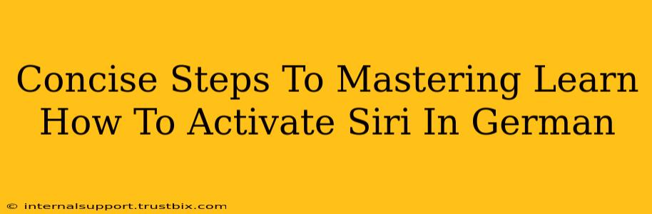 Concise Steps To Mastering Learn How To Activate Siri In German