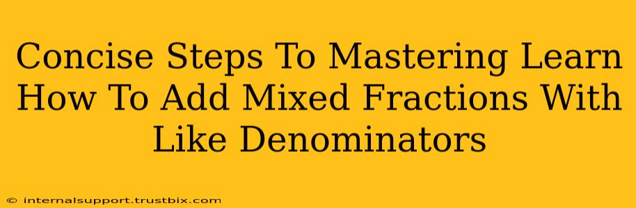 Concise Steps To Mastering Learn How To Add Mixed Fractions With Like Denominators