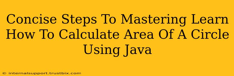 Concise Steps To Mastering Learn How To Calculate Area Of A Circle Using Java