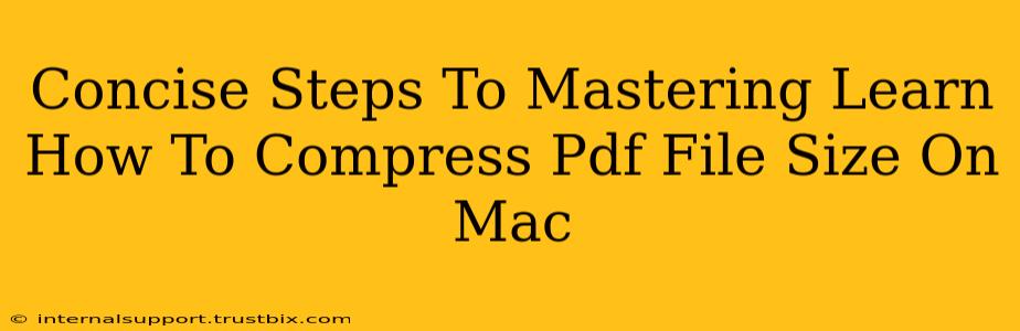 Concise Steps To Mastering Learn How To Compress Pdf File Size On Mac