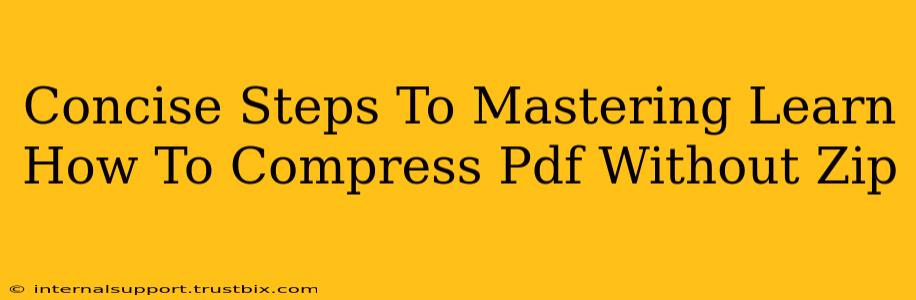 Concise Steps To Mastering Learn How To Compress Pdf Without Zip